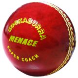 01_menace_cricket_ball.jpg