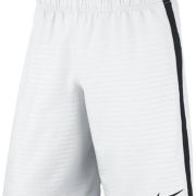 Nike Max Graphic Shorts 645495-156
