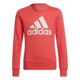 Adidas-Essentials-Sweatshirt-HE1984-pink-white.jpg