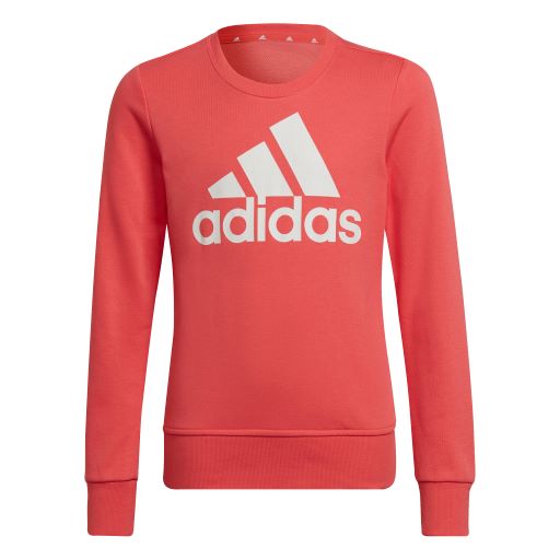 Adidas Essentials Sweatshirt HE1984