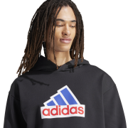 Adidas Future Icons Badge of Sport Hoodie IS3233