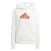 Adidas Future Icons Badge Of Sport Hoodie IS3639