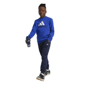Adidas Essentials Big Logo Fleece Jogger Set Kids IV7307