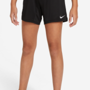 Nike Dri-Fit Trophy Older Kids’ Training Shorts DA1099-010