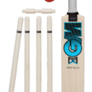 GM Diamond Wooden Cricket Set GMBSXS2A1