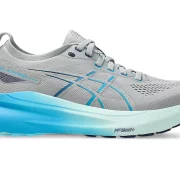 Asic’s Gel Kayano 31 1012B670-022