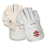 21517-Legend-Wicket-Keeping-Gloves.jpg