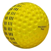 Paceman Bowling Machine Balls Regular (12 Pack) PABMXN320