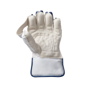 GM Mana Wicketkeeping Gloves GMCG2S404