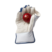 GM Mana Wicketkeeping Gloves GMCG2S404