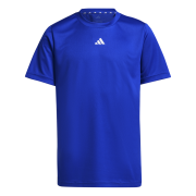 Adidas Train Essentials Logo Tee IW0850