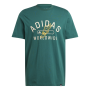 Adidas Collegiate Tee IZ1169