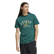 Adidas Collegiate Tee IZ1169