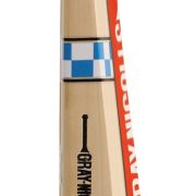 Gray Nicolls Maax 900 – Size 6 25858