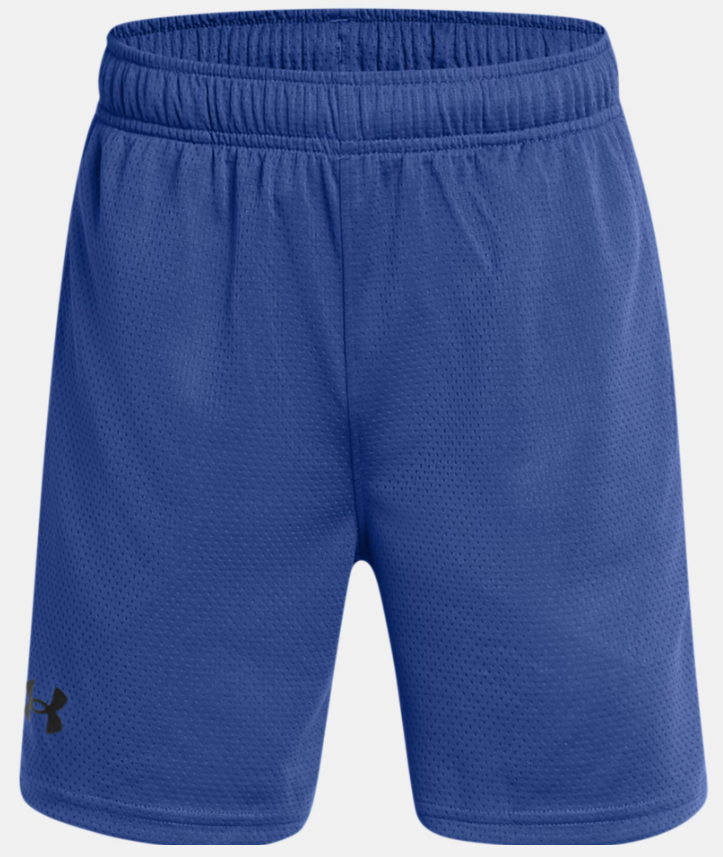 Under Armour Tech Mesh Shorts 1387348-432