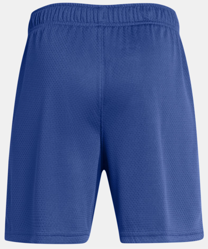 Under Armour Tech Mesh Shorts 1387348-432