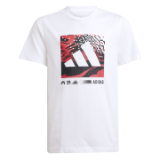 Adidas Camo Graphic Tee JD4642