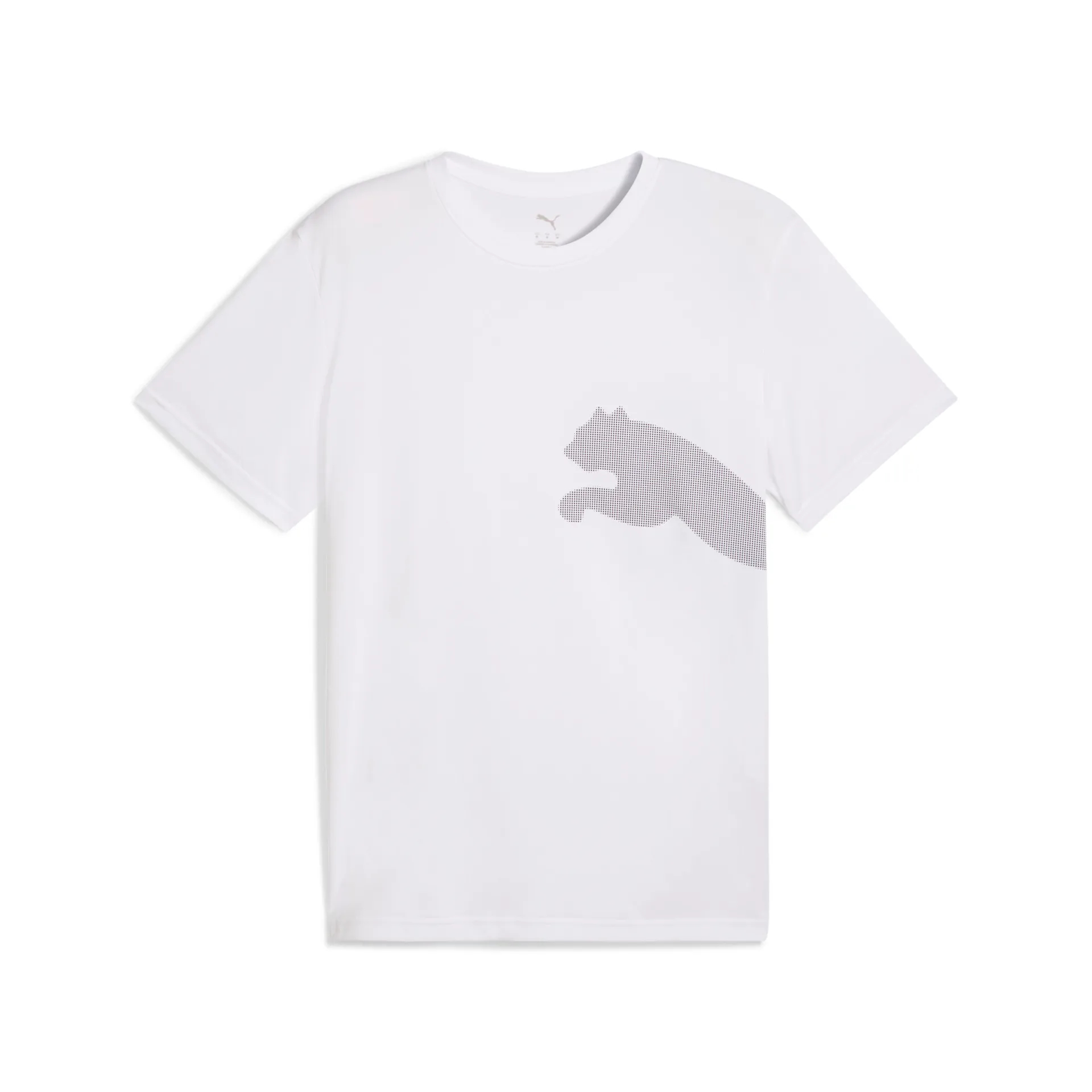 Puma Big Logo Tee 526721-02