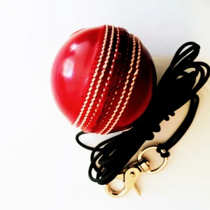 V Pro 142g Red Training Cricket Ball 10407