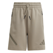 Adidas Z.N.E. Shorts JD0009