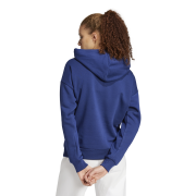 Adidas Essentials Small Logo Feel Cozy Hoodie JN1854