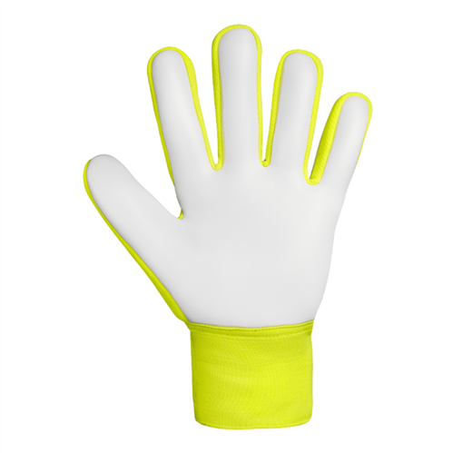 Reusch Attrakt Starter Solid Goalkeeping Gloves 5572514