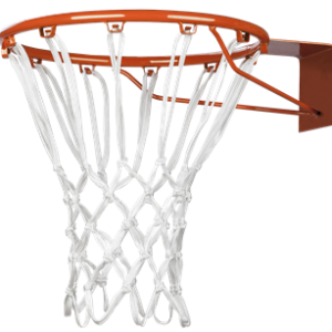 Silver Fern Basketball Heavy Duty Net