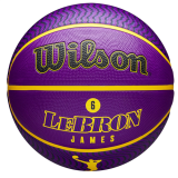 Lebron_James_Icon_Basketball_LA_Lakers_Back637945238551466322.png
