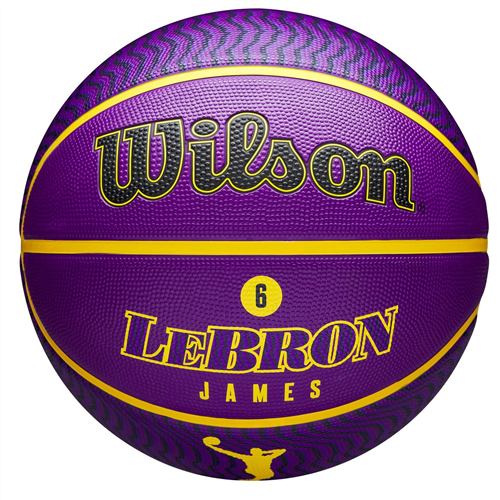 Wilson Lebron James Basketball WZ4005901