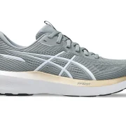 Asic’s Gel GT1000 14 (D) 1012B858-020