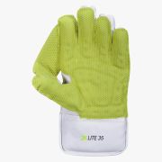 DSC XLite 35 Wicketkeeping Gloves DSCWK2510