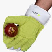 DSC XLite 35 Wicketkeeping Gloves DSCWK2510