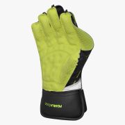 DSC Pearla 6000 Wicketkeeping Gloves DSCWK2510