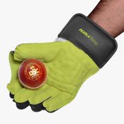 DSC Pearla 6000 Wicketkeeping Gloves DSCWK2510