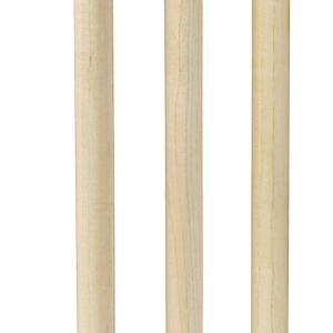 Kookaburra Spring Back Stumps Natural 3T161425