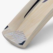 DSC Blak 99 Junior Bat – DSCB2512
