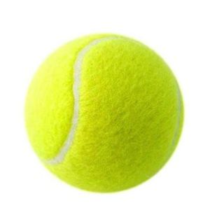 Silver Fern Induvial Tennis Ball TBY50S